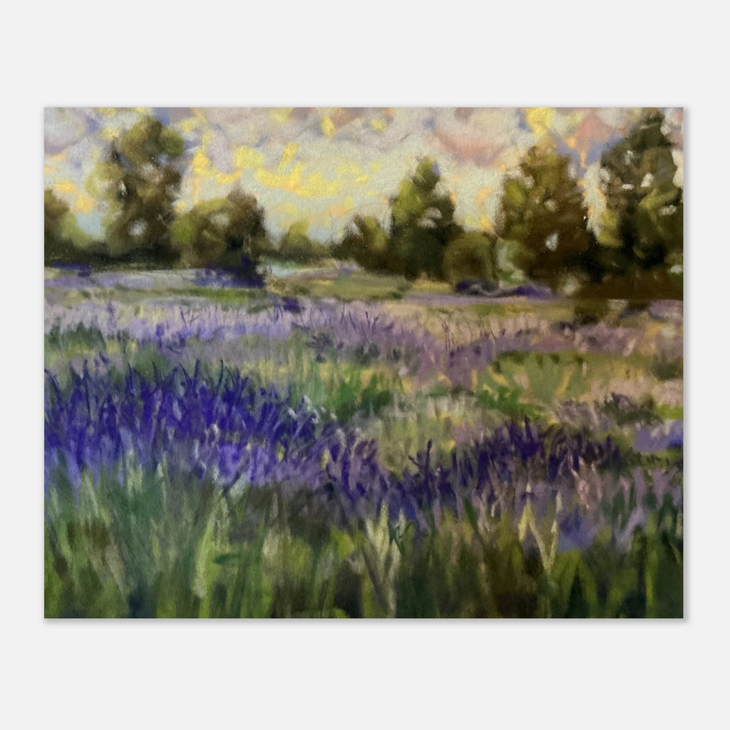 1a4e950c-2d98-42ad-aa35-0fcde83d806e