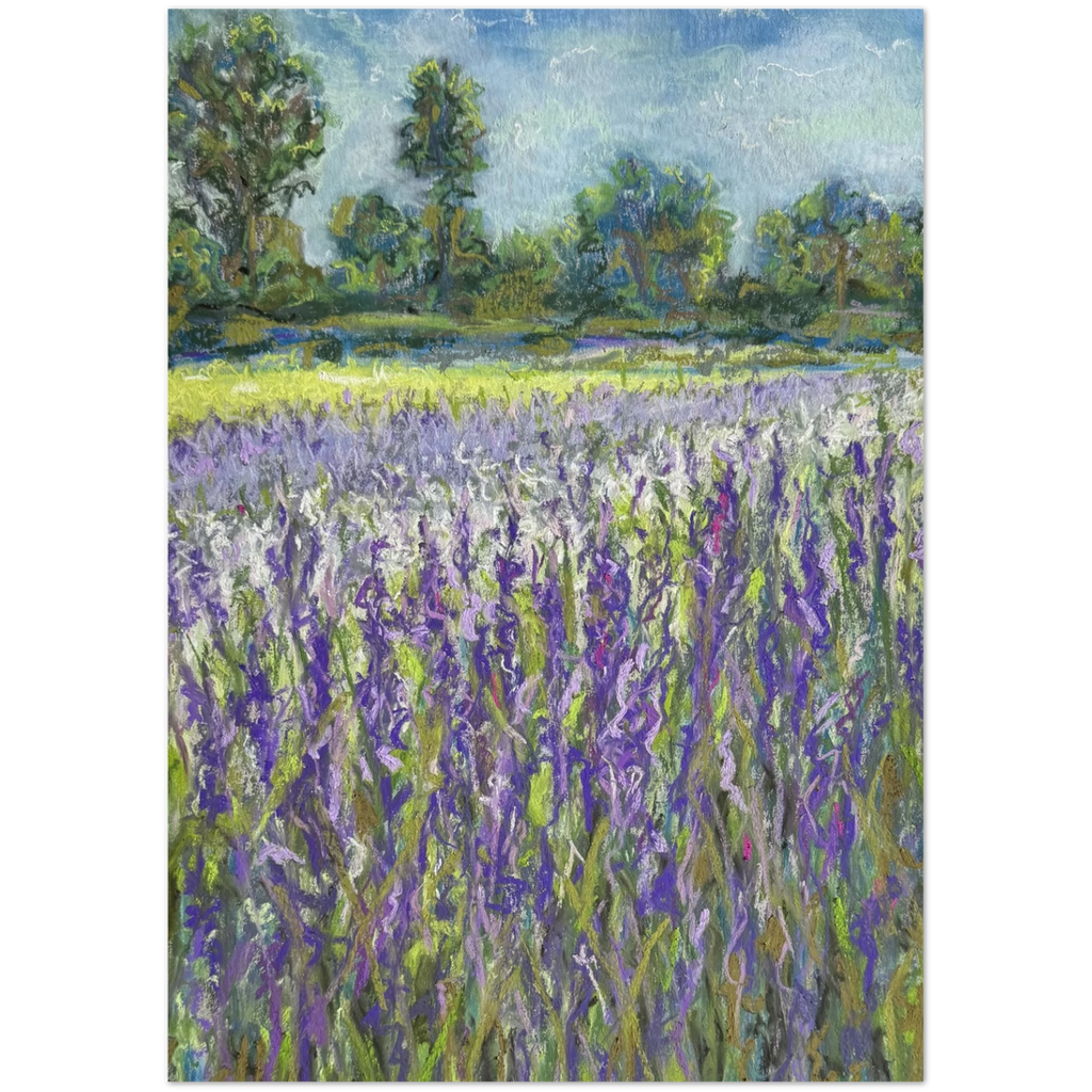 1aff104e-ab8d-4f5a-aa28-db229c28554e