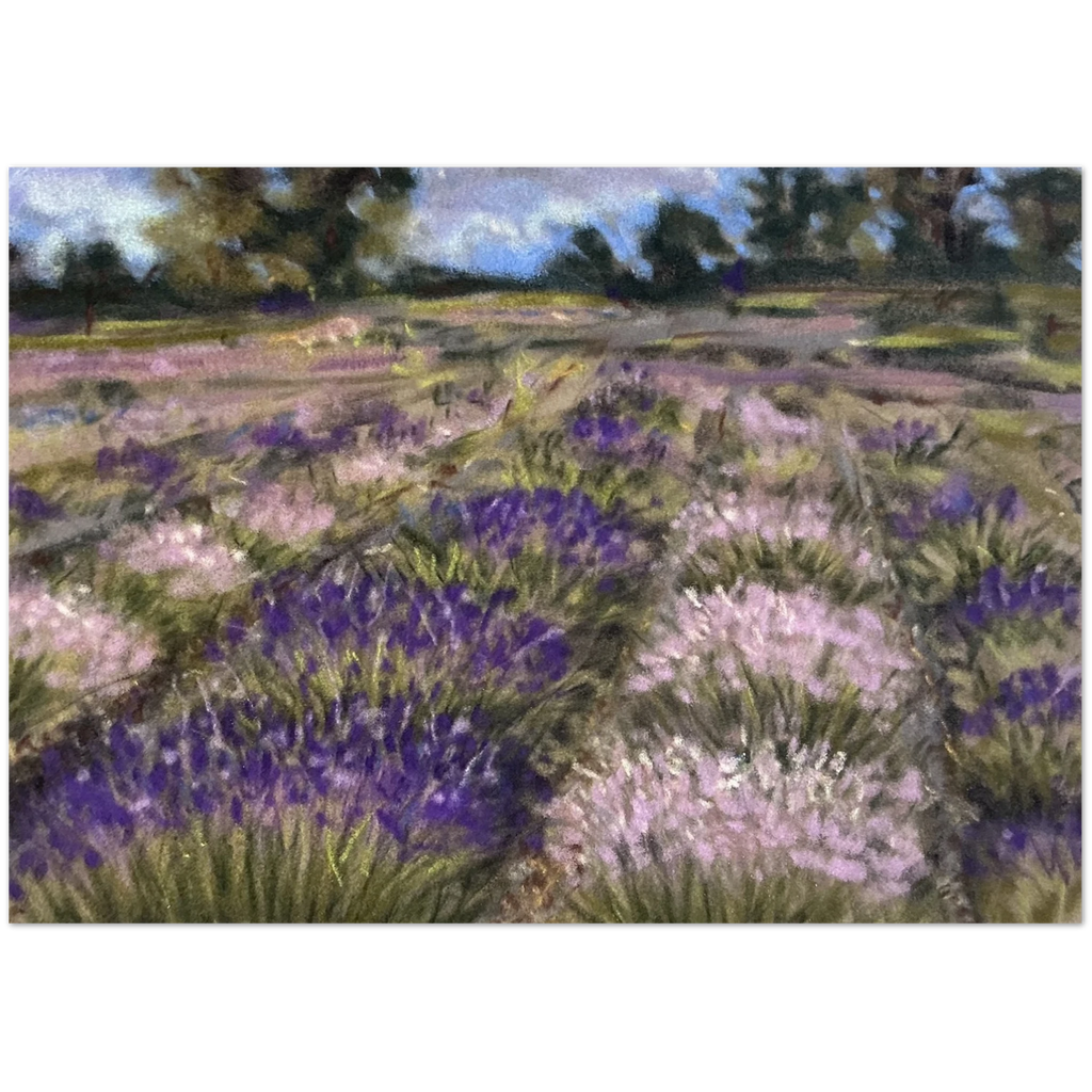 27bf4110-eeaf-4a4d-a741-6792f1f9bff8