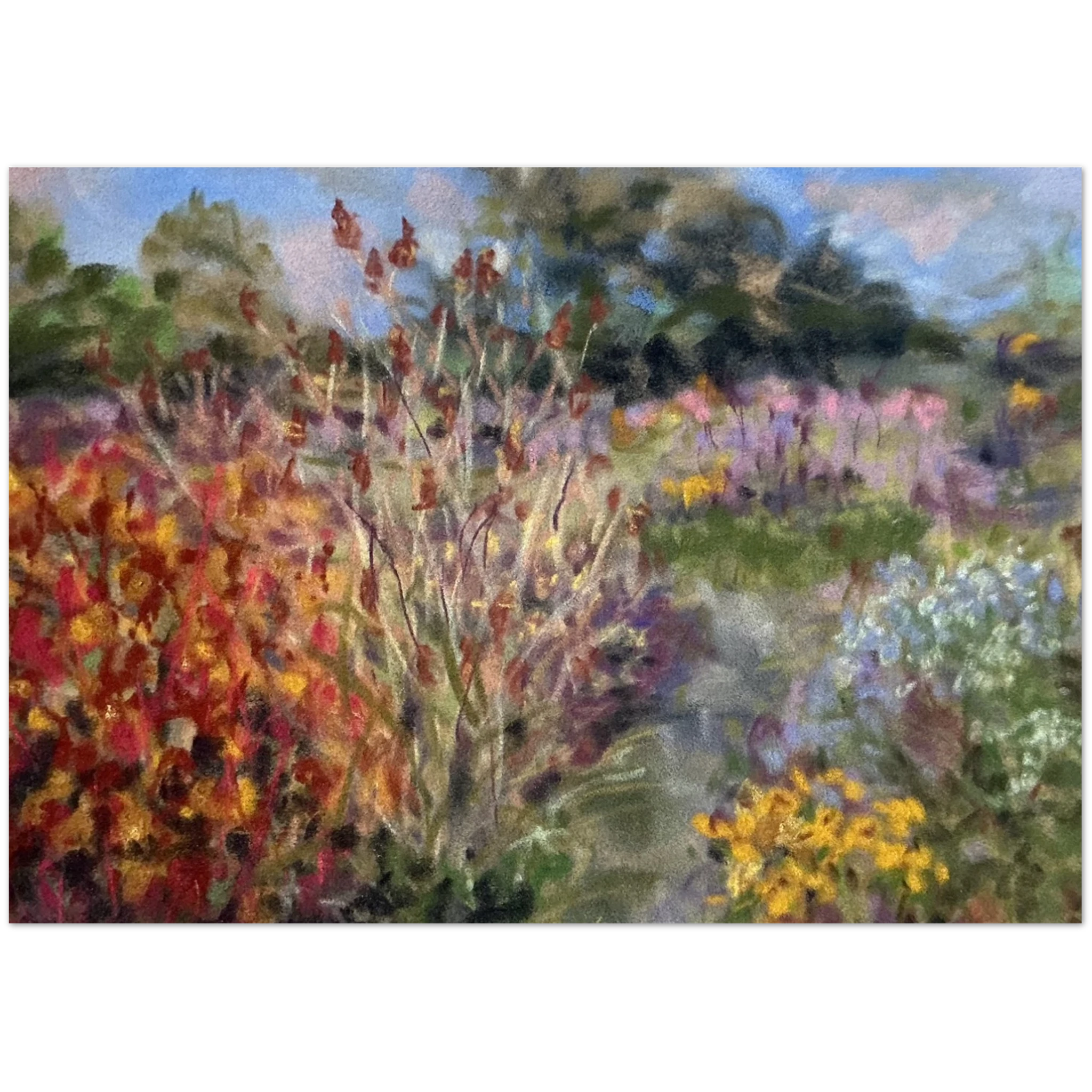 3224e5bc-4af2-469d-9dab-0a1f095b1a5c