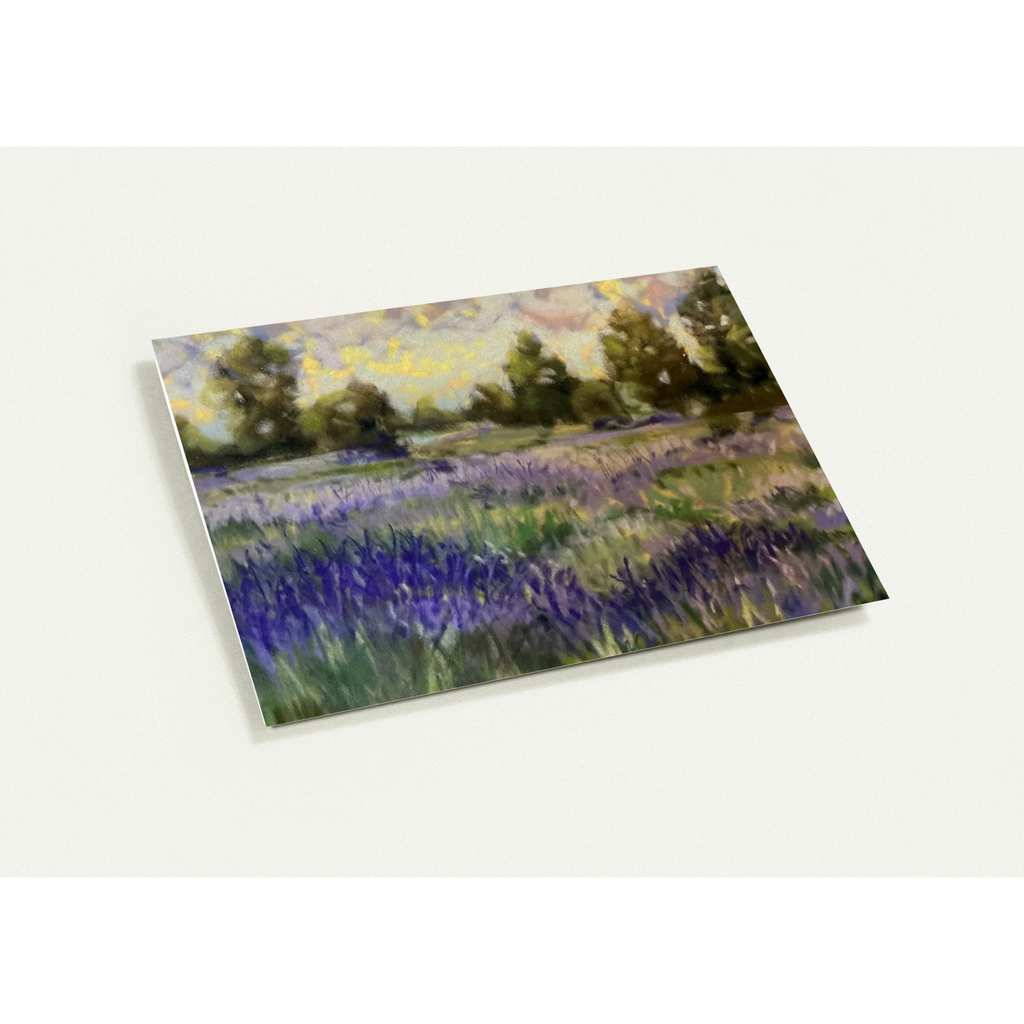 3dc6508c-397a-491e-ba8e-6a7a76677ace