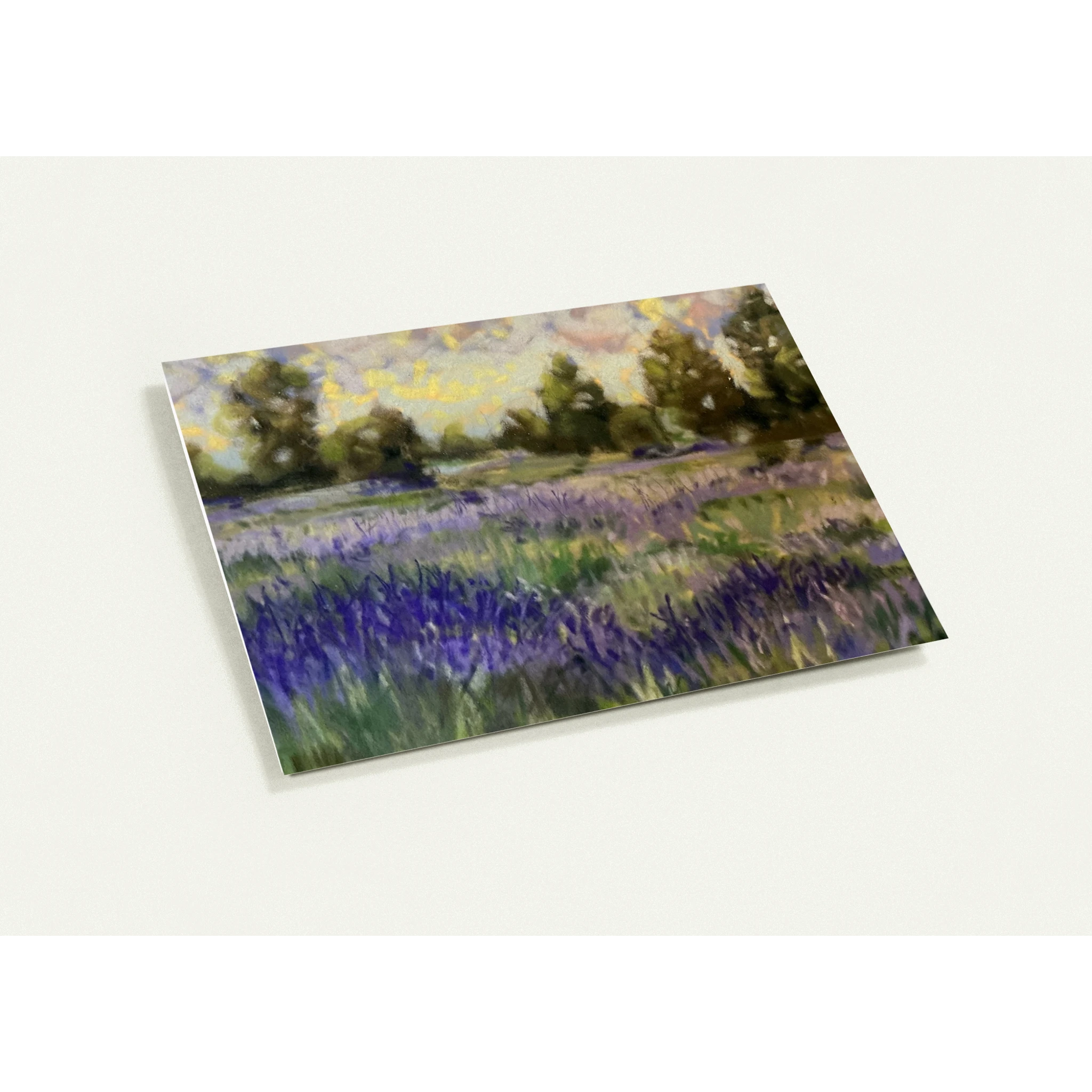 3dc6508c-397a-491e-ba8e-6a7a76677ace