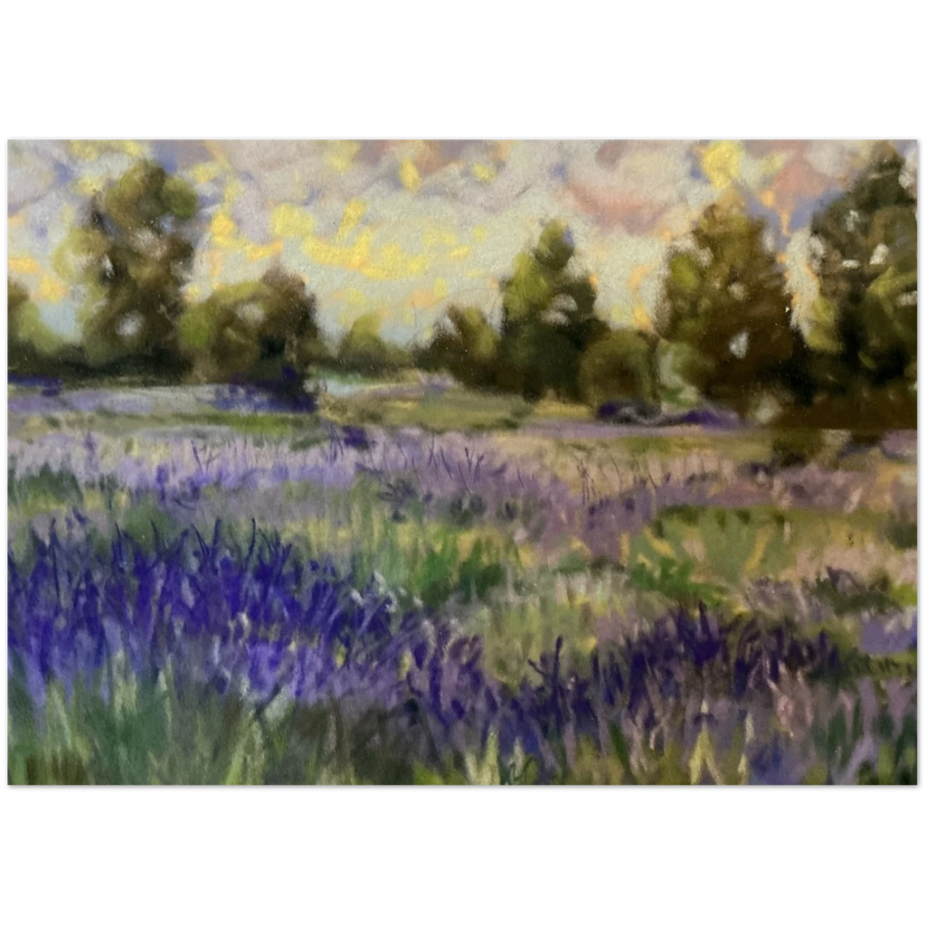 8fc5a5e6-b183-48ae-b43b-1bb11b938e14