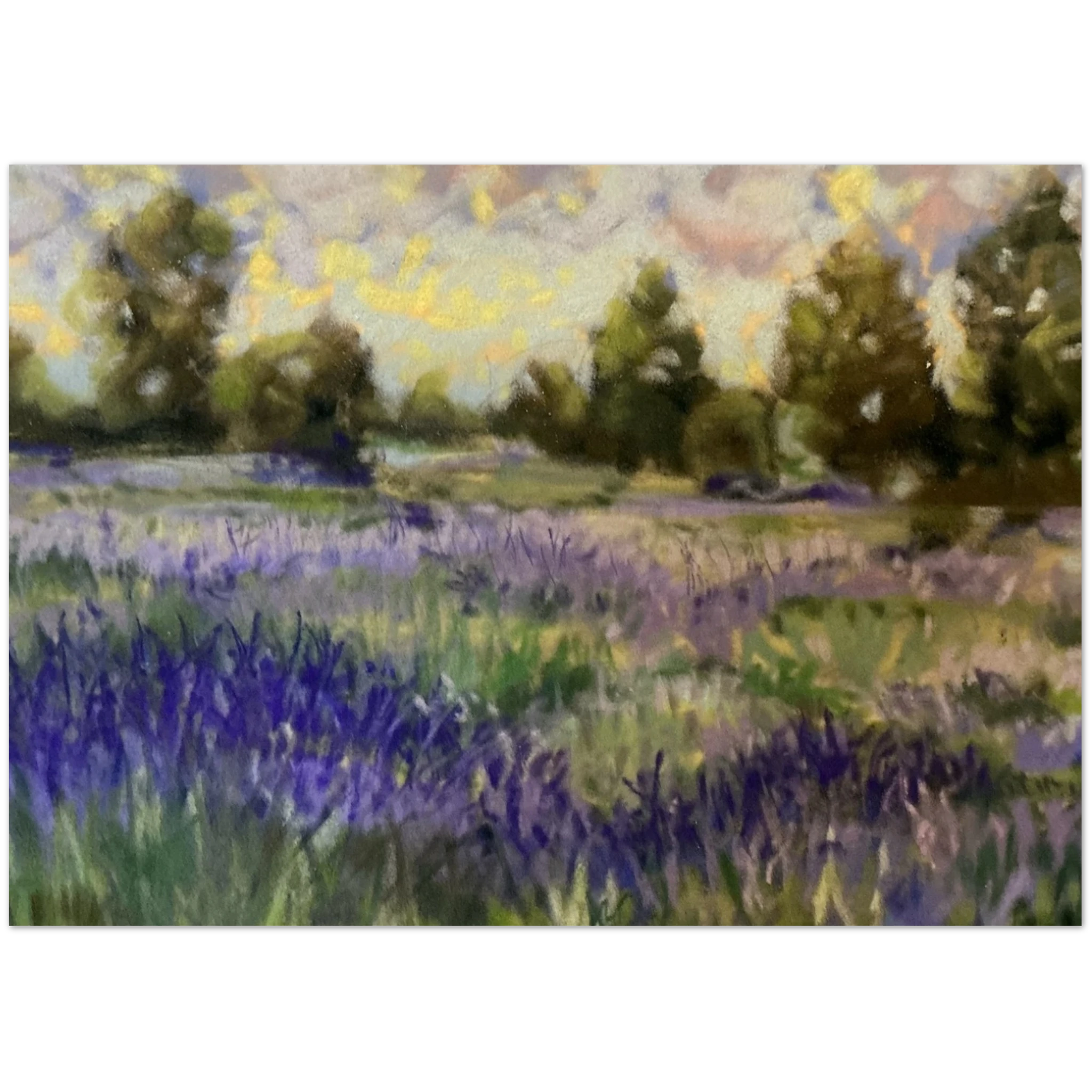 8fc5a5e6-b183-48ae-b43b-1bb11b938e14