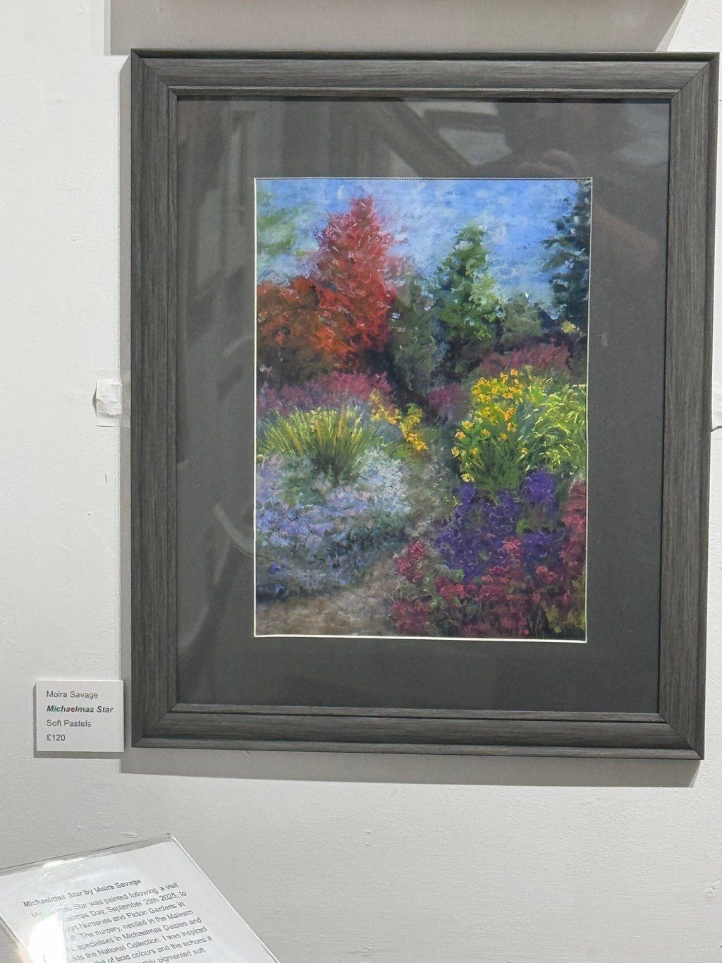 Michaelmas Star, original Soft Pastel