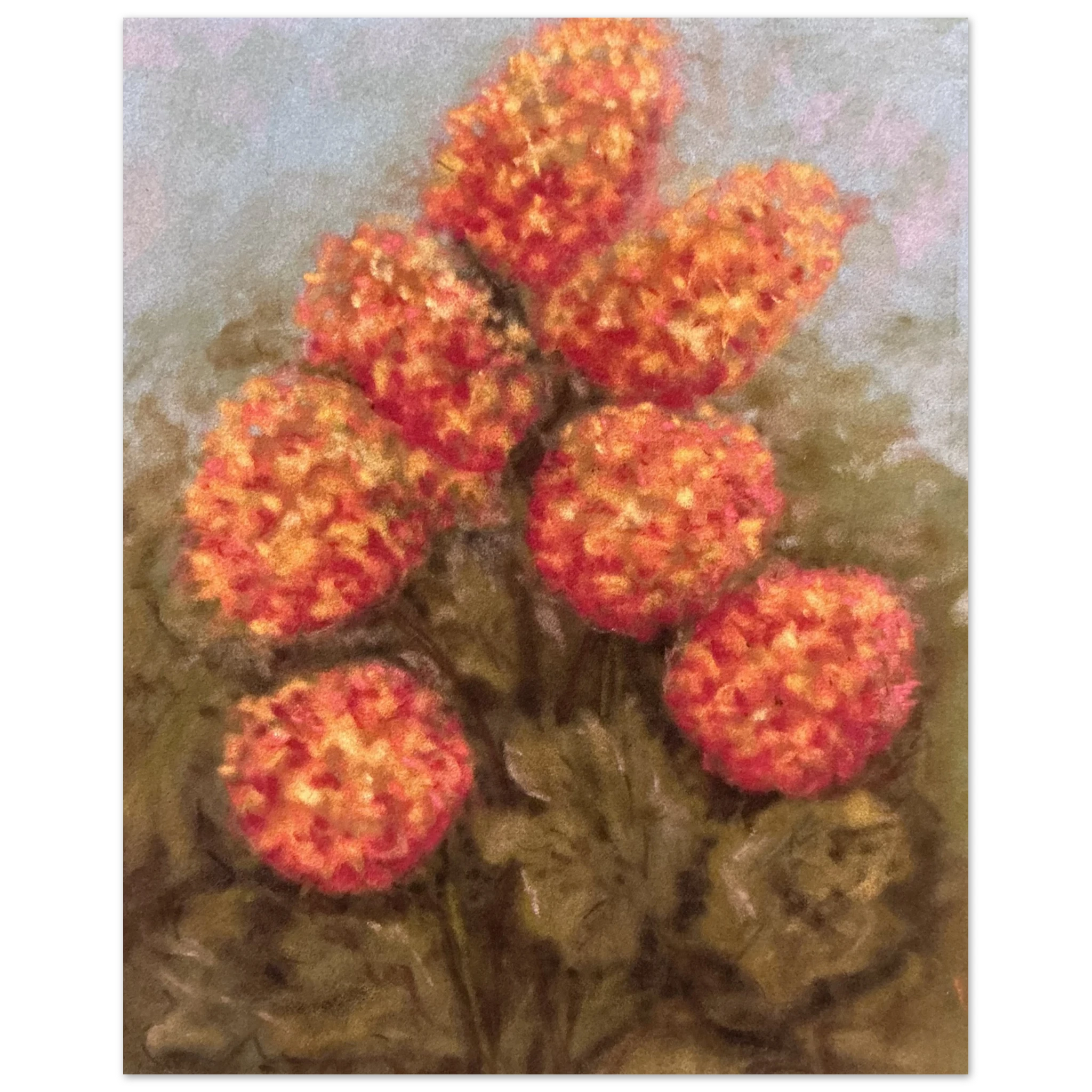 a1da32f1-ad36-4952-8bbf-d4f3a6dc5a98