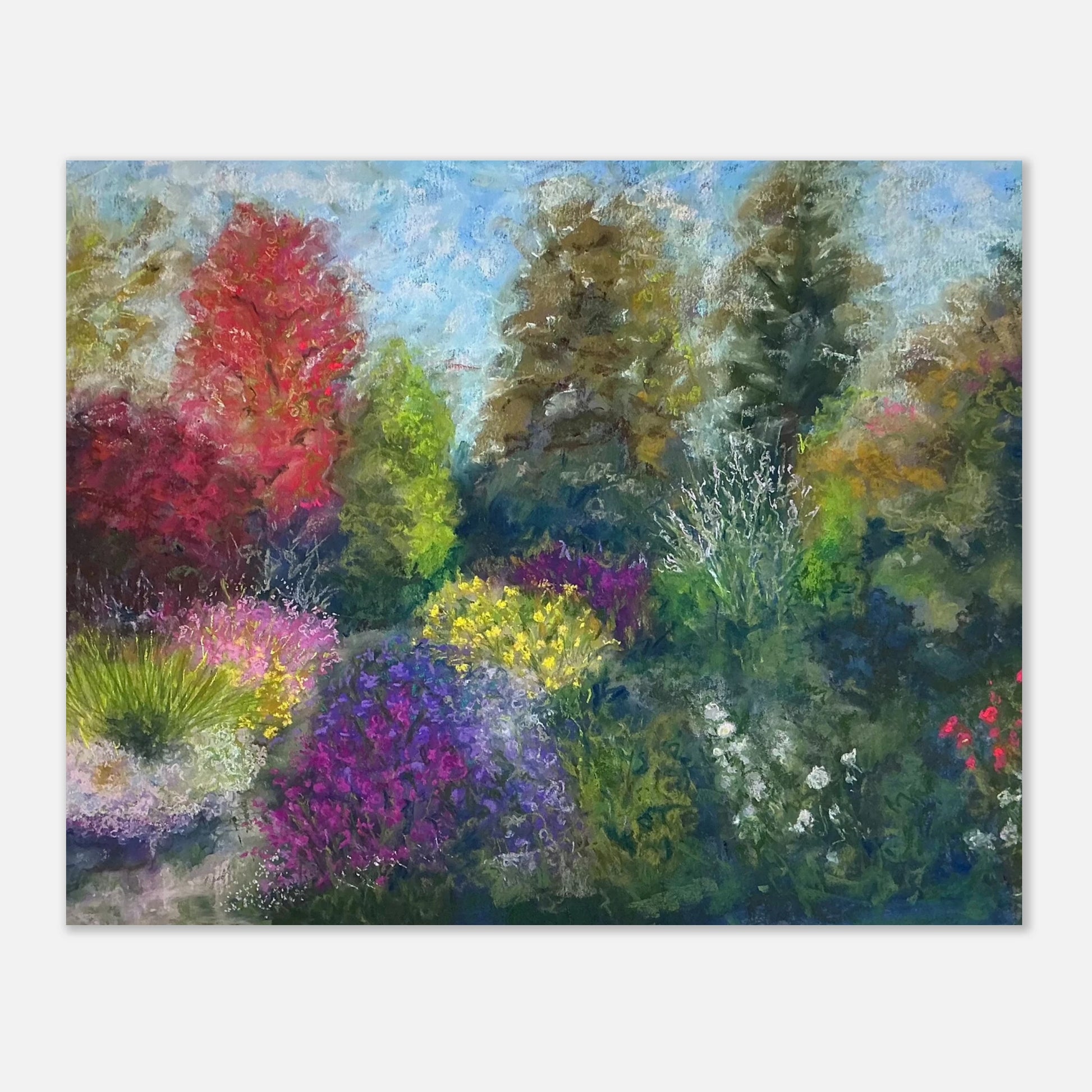 Pastel flower painting of purple Michaelmas daisies in autumn, Picton Garden near Malvern