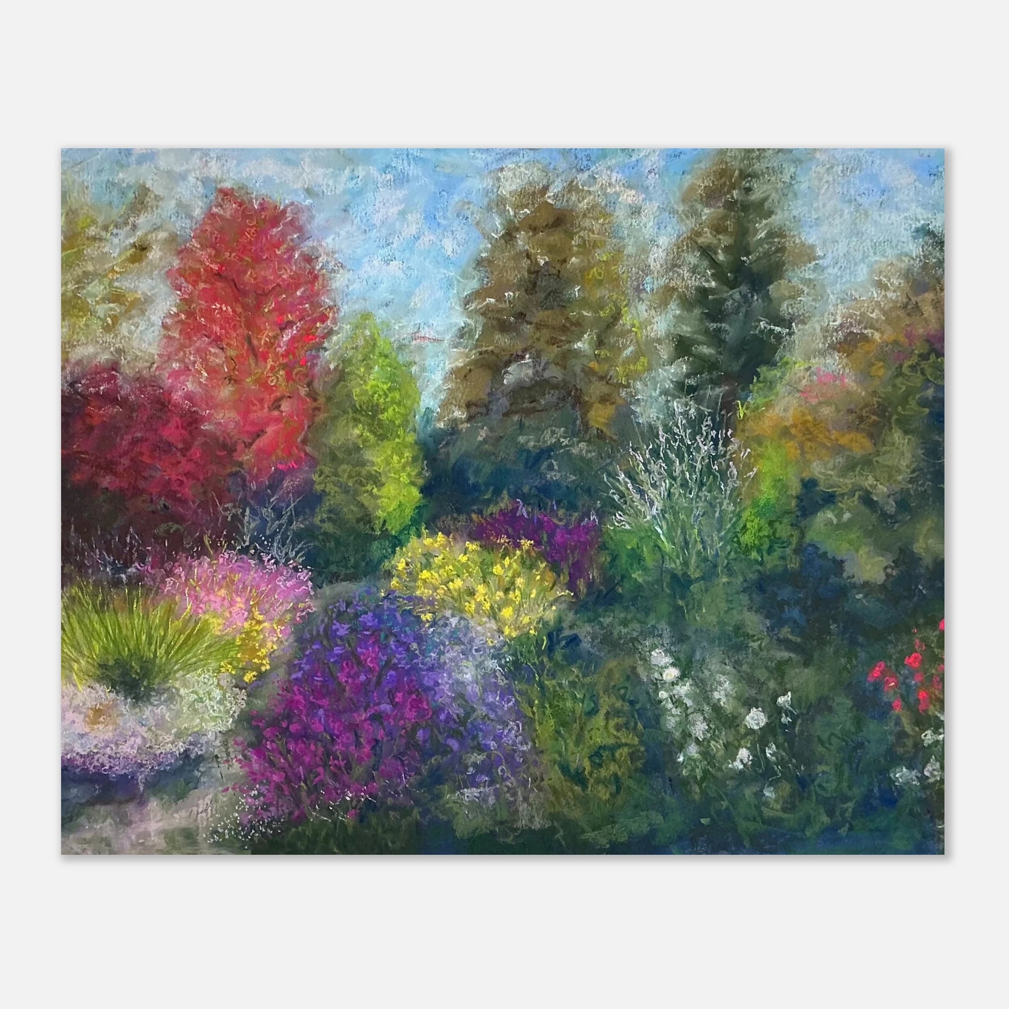 Pastel flower painting of purple Michaelmas daisies in autumn, Picton Garden near Malvern