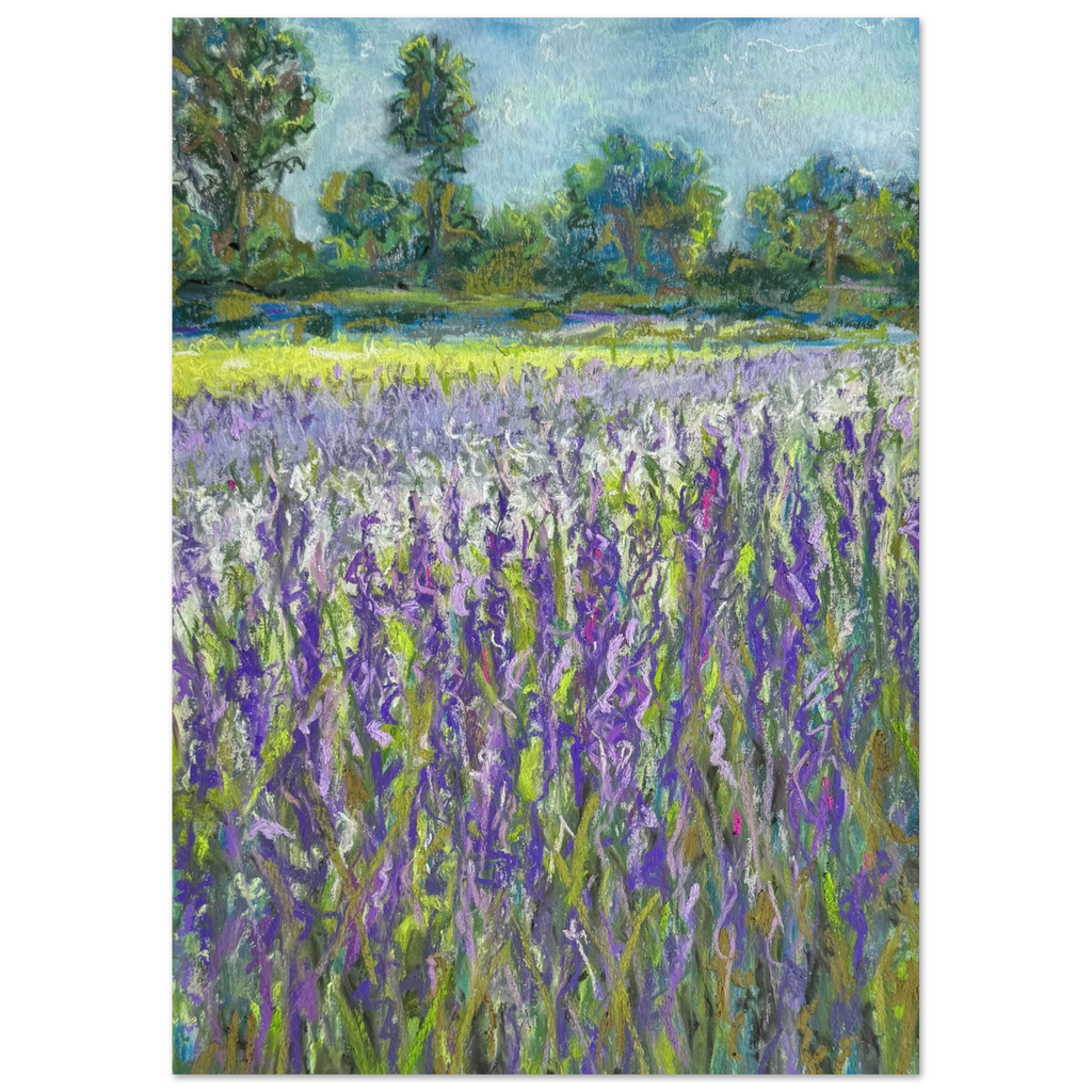 b5796552-141a-4525-8454-0ca9d92c4650