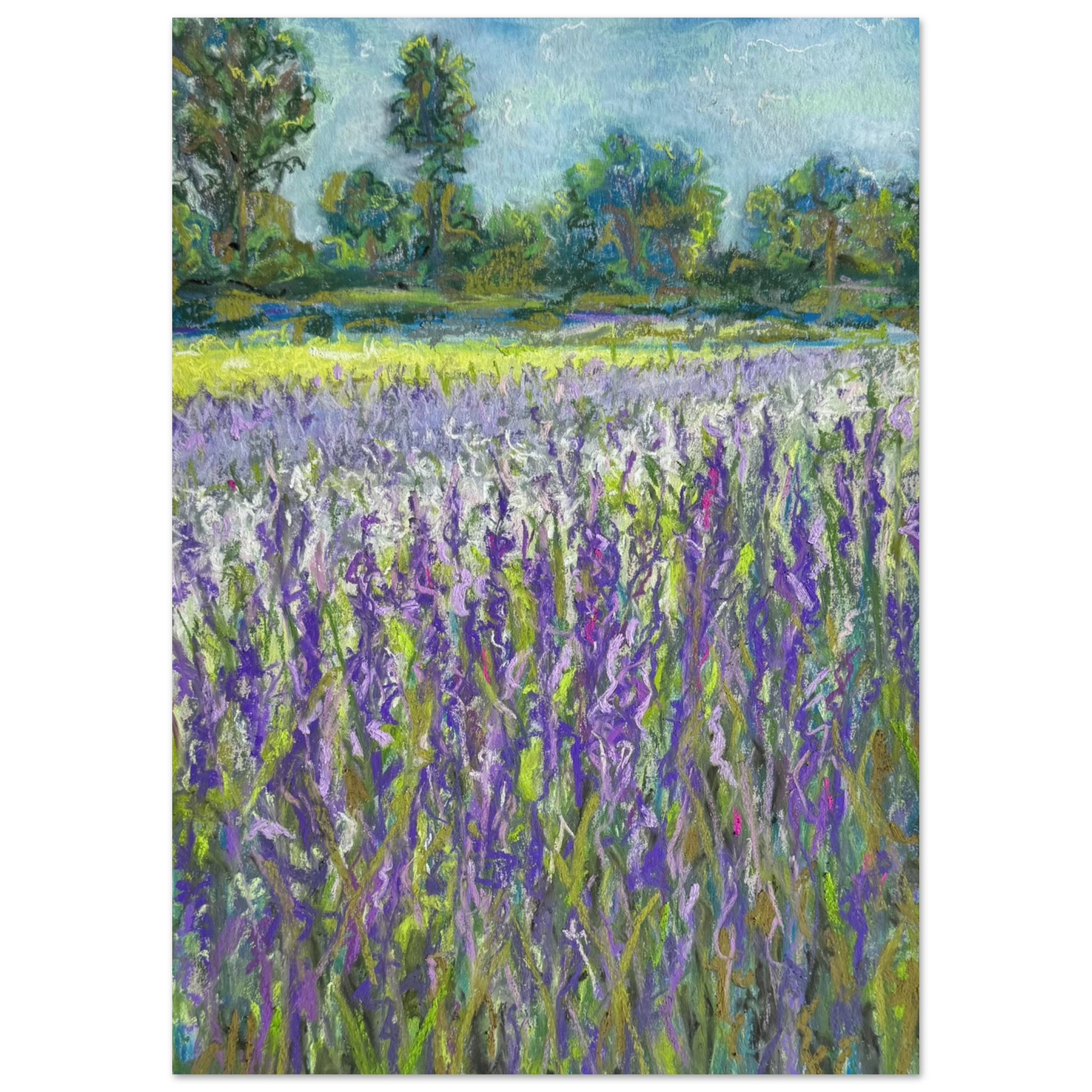 b5796552-141a-4525-8454-0ca9d92c4650