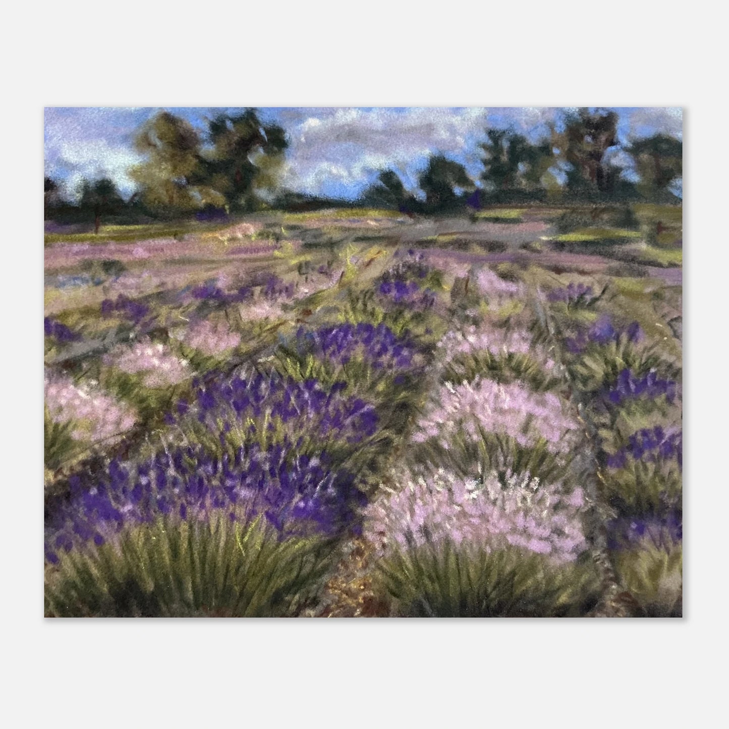 Soft pastel painting capturing Cotswold Hills lavender field in bloom, English countryside floral landscape art