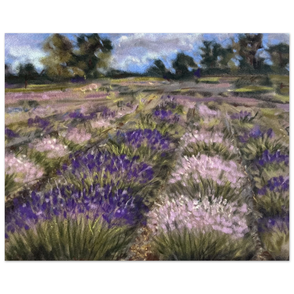 d9233b75-43e6-4be1-93a7-cc780d789d81