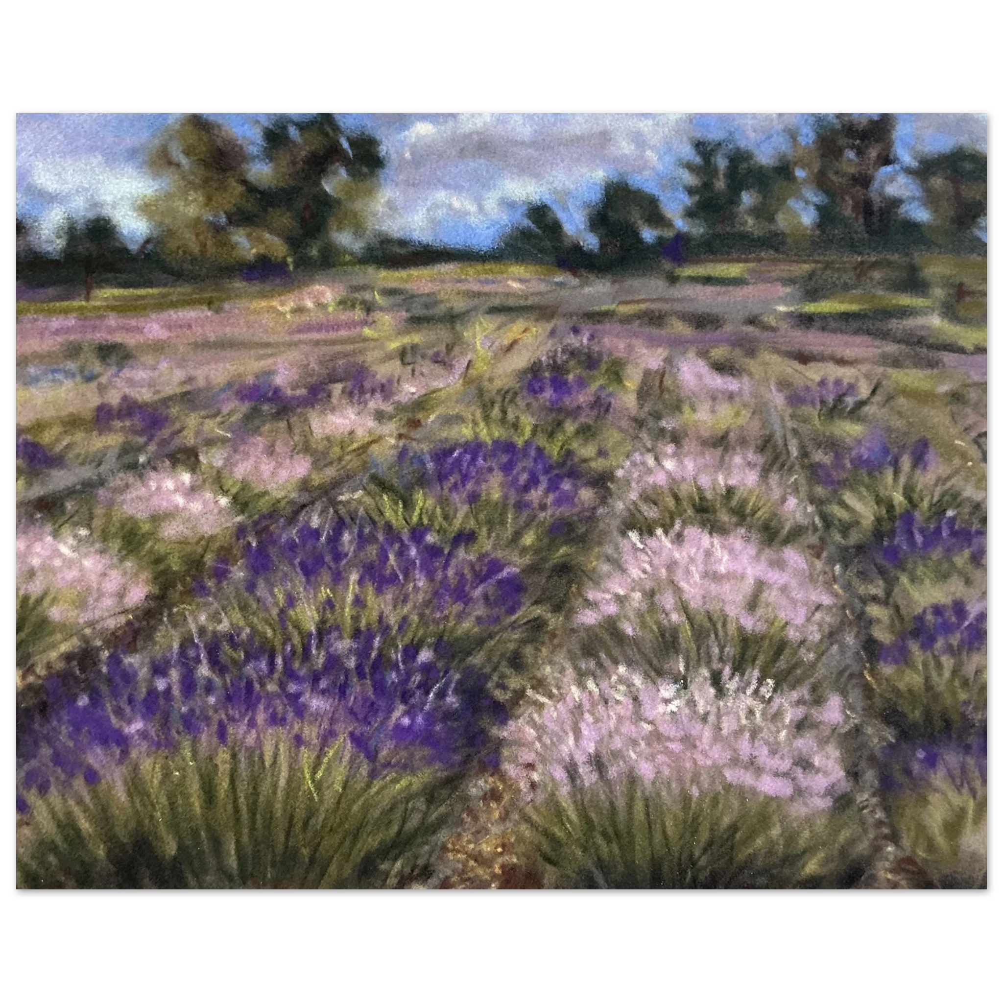 d9233b75-43e6-4be1-93a7-cc780d789d81